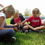 In addition to going out into the world, we often bring the world to children. Here, several dogs visited the Carlsbad Village campus.