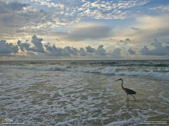  National Geographic