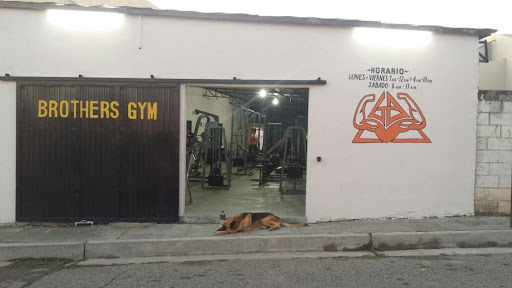 Brothers Gym, 84160, Av. Prof.ª Ignacia Fimbres 801, San Martin, Magdalena, Son., México, Programa de acondicionamiento físico | JAL