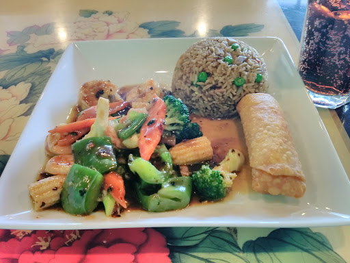 Chinese Restaurant «Bamboo Asian Cuisine», reviews and photos, 1567 E Silver Star Rd, Ocoee, FL 34761, USA