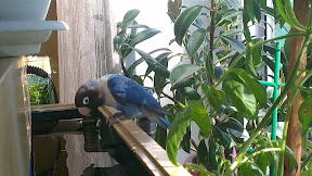 IMAG0406.jpg