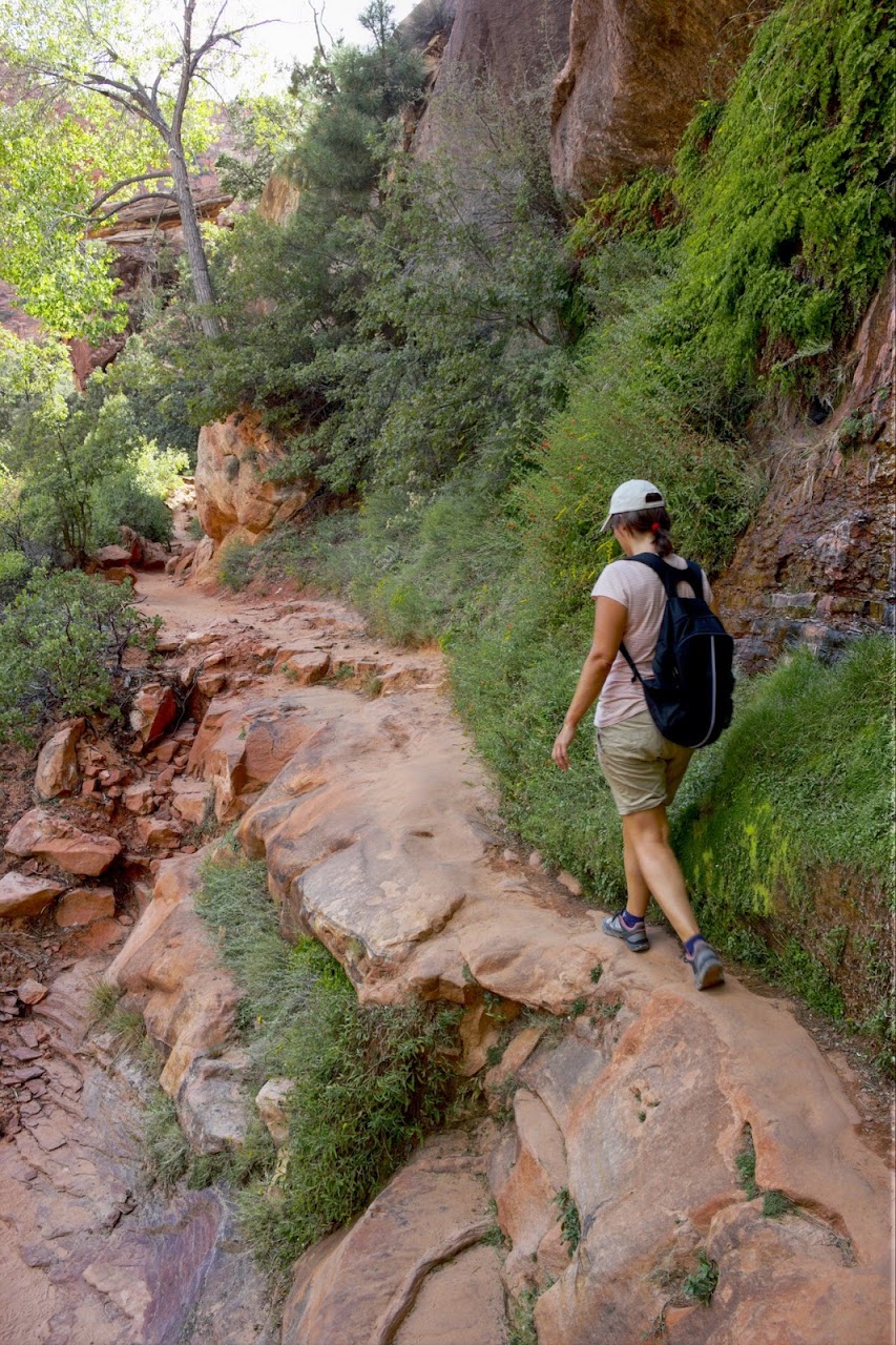 Día 11: Visita a Bryce y llegada a Zion - Parques nacionales del oeste de EEUU and more (49)