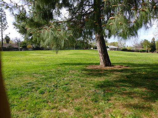Park «Eugene H. Ahner Park», reviews and photos, 5517 Manzanita Ave, Sacramento, CA 95841, USA
