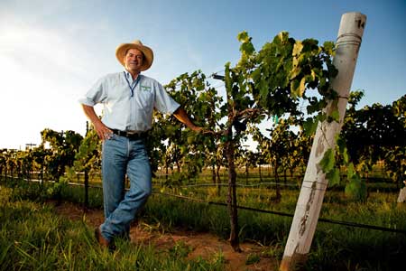 Winery «Llano Estacado Winery», reviews and photos, 3426 FM1585, Lubbock, TX 79404, USA