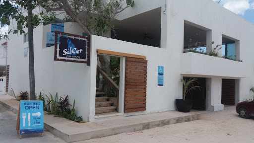 Silcer Malecon, 54, Ismael Garcia, 97320 Progreso, Yuc., México, Hotel en la playa | YUC