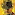 Aldair