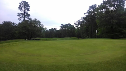 Golf Course «Witch Golf Links», reviews and photos, 1900 SC-544, Conway, SC 29526, USA