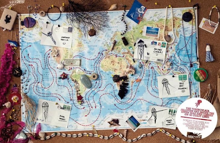 Travel Guide Travel Agency