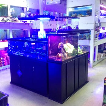Pet Supply Store «Tropical FantaSeas Aquariums», reviews and photos, 3965 Investment Ln, West Palm Beach, FL 33404, USA
