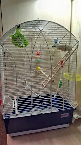 IMAG0416.jpg