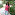 poonam