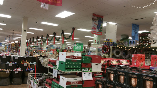 Home Goods Store «Christmas Tree Shops», reviews and photos, 295 Old Oak St #5, Pembroke, MA 02359, USA