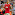 Bojan