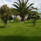 Mi foto