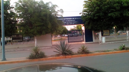 Escuela Preparatoria Guasave Diurna UAS, Paseo Miguel Leyson Perez, Ejidal, 81020 Guasave, Sin., México, Escuela preparatoria | SIN