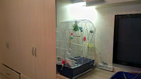 IMAG0419.jpg