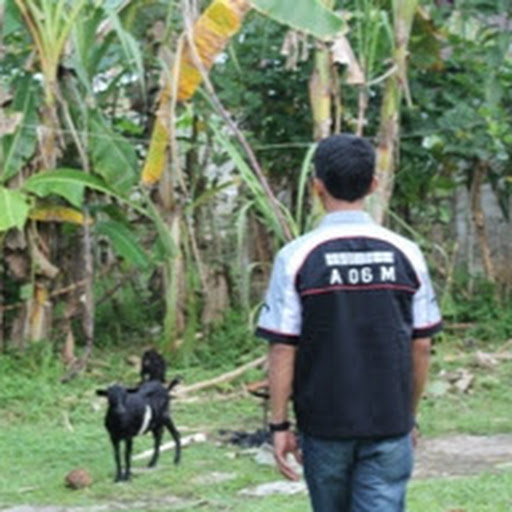 Foto Saya