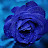 TheNigerianprincess8