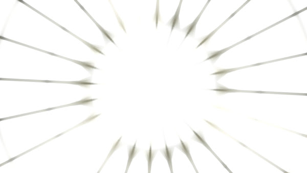 拡大 1356965530696.jpg