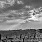 Panorami del Monferrato  – fotografia di Vittorio Ubertone