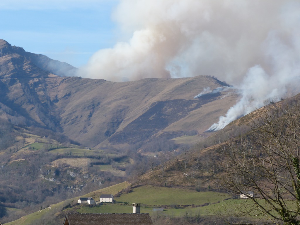 Wildfire on warming planet requires adaptive capacity at local, national, international scales Wildfire on warming planet requires adaptive capacity at local, national, international scales
