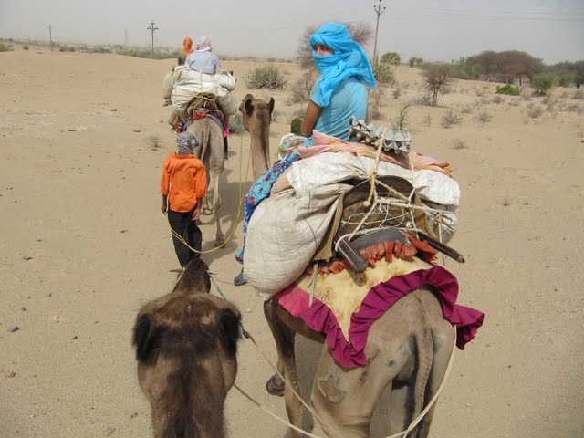 Jaisalmer camel safari