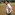 Sanchit