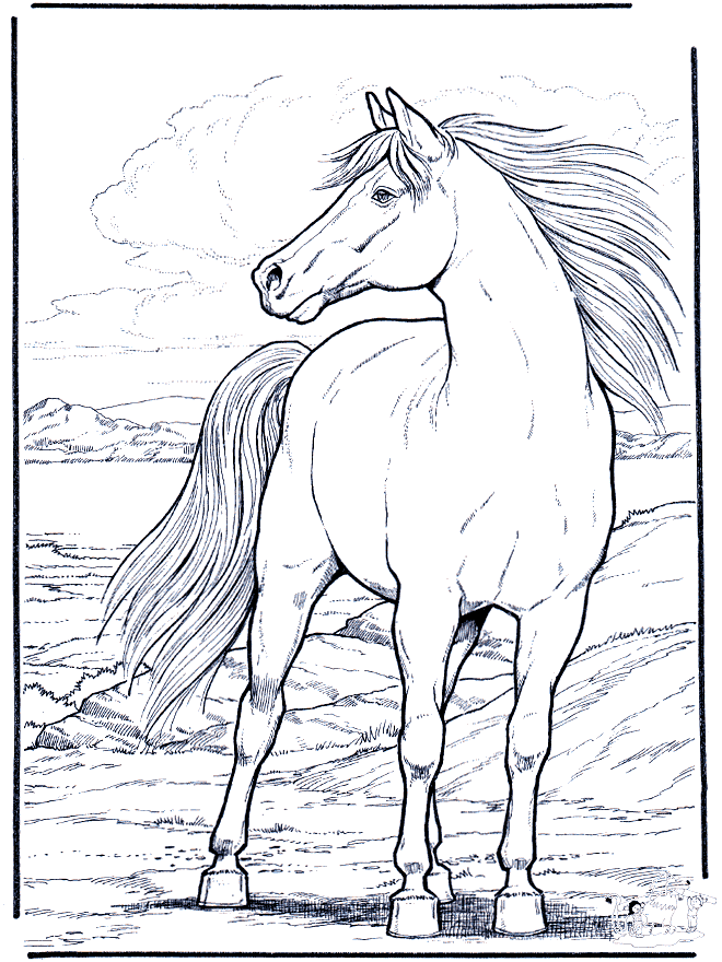 Top 25 Free Printable Horse Coloring Pages - realistic horse coloring pages to print