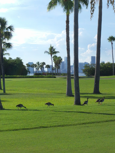 Public Golf Course «Crandon Golf at Key Biscayne», reviews and photos, 6700 Crandon Blvd, Key Biscayne, FL 33149, USA