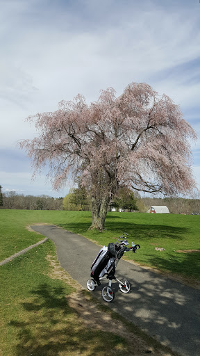 Public Golf Course «Strawberry Valley Golf Course», reviews and photos, 164 Washington St, Abington, MA 02351, USA