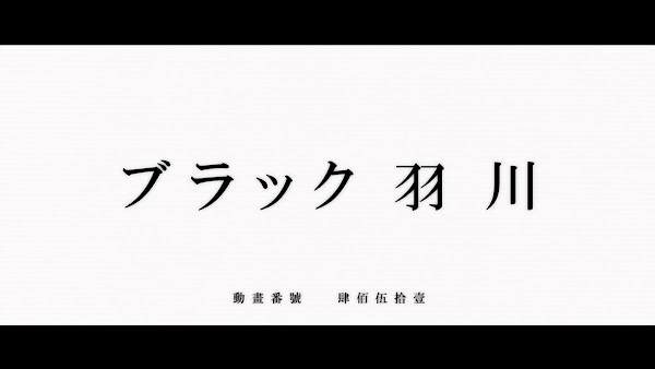 拡大 1356965280062.jpg