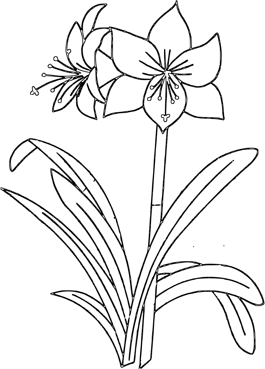 Flower Coloring Pages