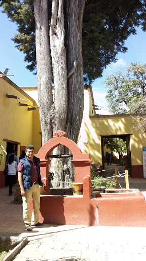 Museo Histórico Curato de Dolores, Morelos 1, Centro, 37800 Dolores Hidalgo Cuna, Gto., México, Lugar de interés histórico | GTO