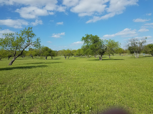 City Park «Shearer Hills/Ridgeview Walking Trail - Olmos Basin Park», reviews and photos, 101 Jackson Keller Rd, San Antonio, TX 78216, USA