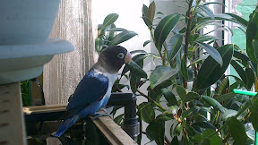 IMAG0411.jpg