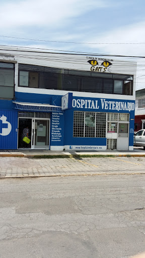 Asesoría y Distribución Veterinaria para Mascotas, Av. Juan Blanca 110 B, Cholula, 72760 Cholula de Rivadabia, Pue., México, Servicio de urgencias veterinarias | PUE