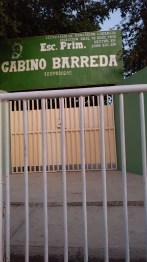 Escuela Primaria Federal Gabino Barreda, Miguel Hidalgo 101, Centro, 41030 Atenango del Río, Gro., México, Escuela de primaria | GRO