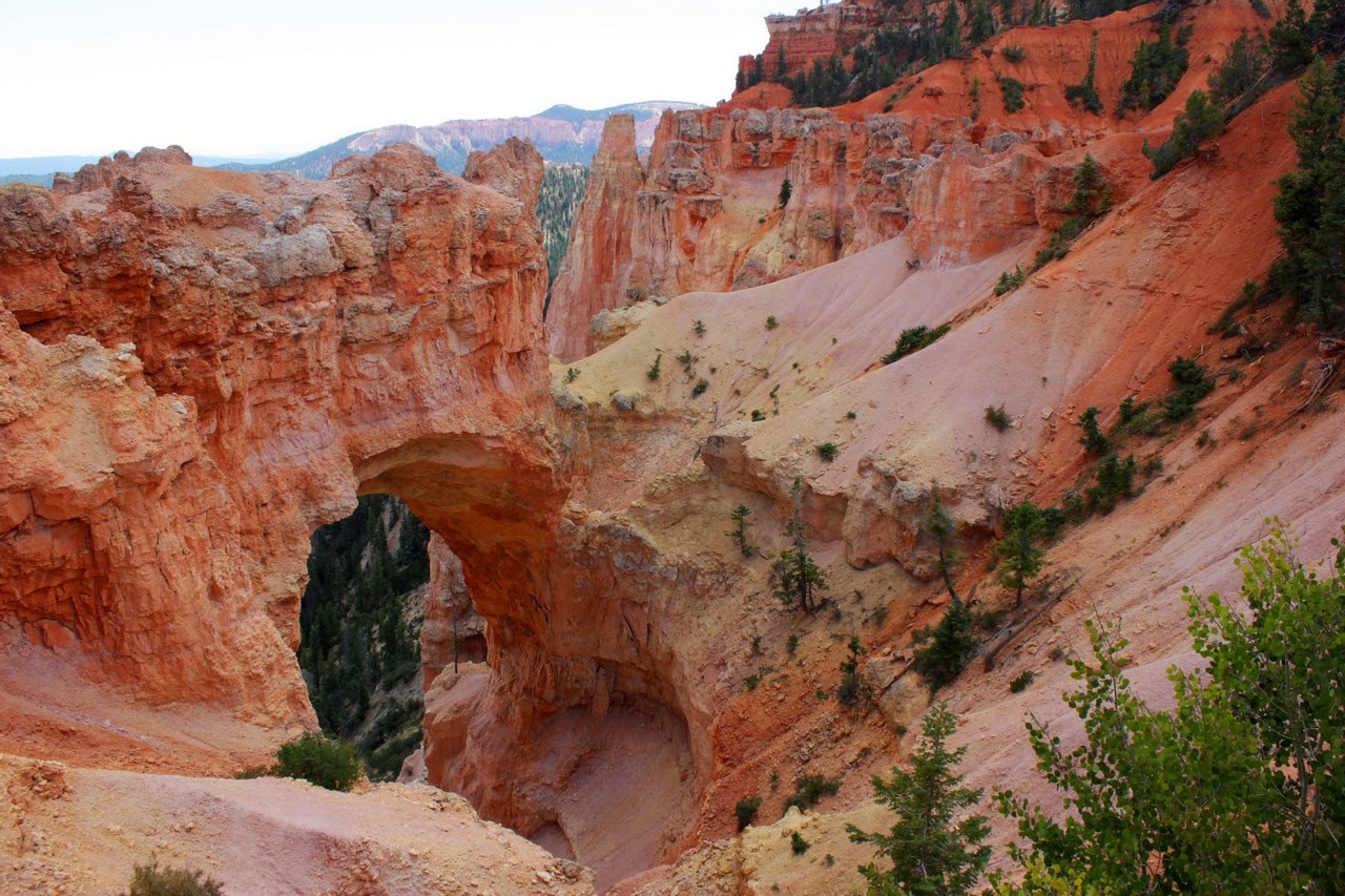 Día 11: Visita a Bryce y llegada a Zion - Parques nacionales del oeste de EEUU and more (32)