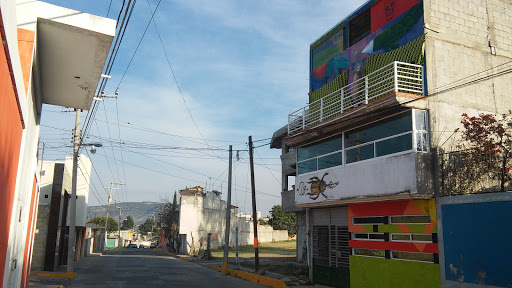 Centro Cultural Ocotlán, Av. Juárez 10, Miraflores, 90114 Ocotlán, Tlax., México, Escalada | TLAX