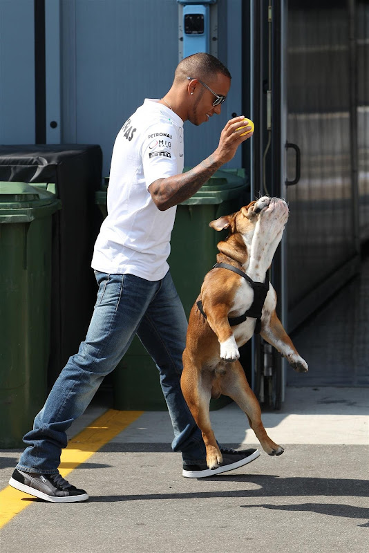 Льюис Хэмилтон выводит свою собаку Роско на прогулку по паддоку Монцы на Гран-при Италии 2013
