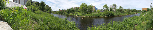 Park «Mill River Park», reviews and photos, 1010 Washington Blvd, Stamford, CT 06901, USA