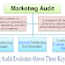 What Is Marketing Audit? Definition Meaning