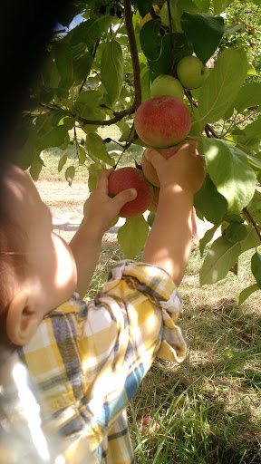 Orchard «Poverty Lane Orchards and Farnum Hill Ciders», reviews and photos, 98 Poverty Ln, Lebanon, NH 03766, USA