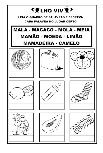 OLHO VIVO