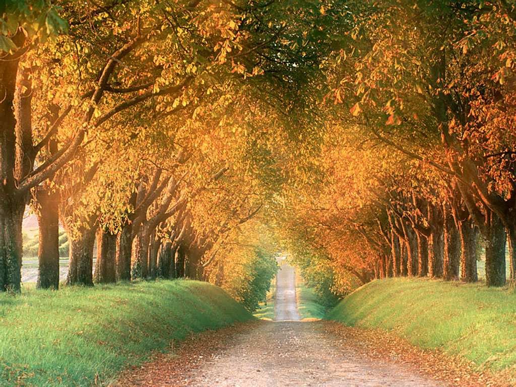 Fotos paisajes todos muy lindos! Taringa! - Fotos De Paisajes Lindos