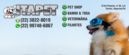 Itapet Pet Shop, Veterinária, Banho e Tosa, R. Cel. Pimenta, 20 - Centro, Itaperuna - RJ, 28300-000, Brasil, Pet_Shop, estado Rio de Janeiro