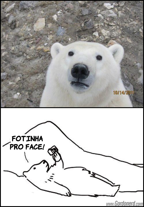 fotinhaproface Ângulo favorável
