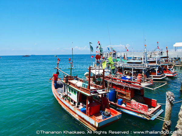 pattaya