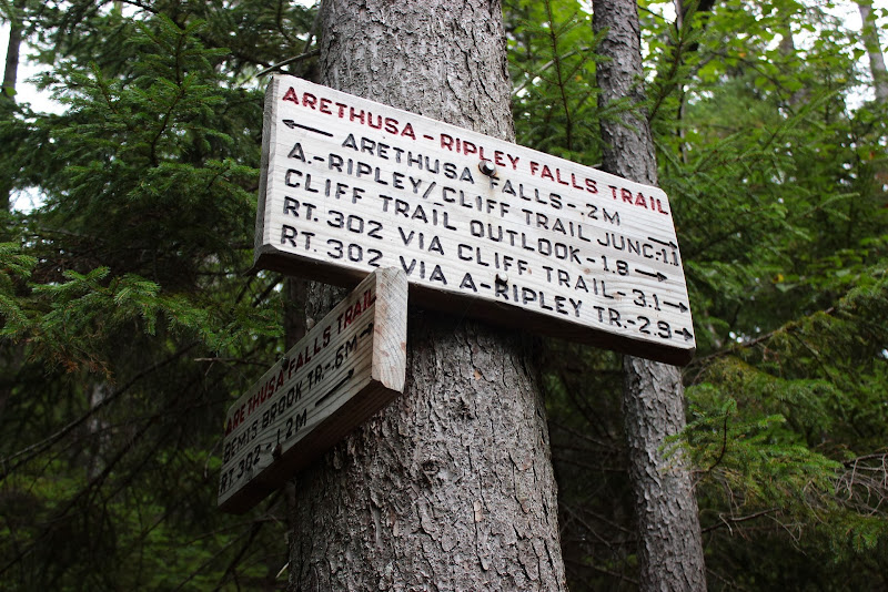 Día 7: White Mountain National Forest. Arethusa, Sabbaday & Glen Ellis Falls - Costa este de EEUU septiembre 2013 (15)