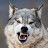 Rebel Wolf